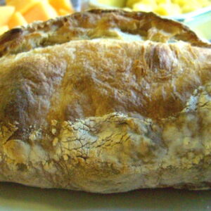 Ciabatta Dan Leopardo