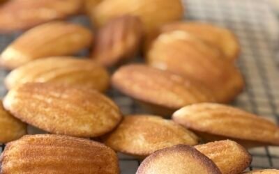 Madelines-David Bedu