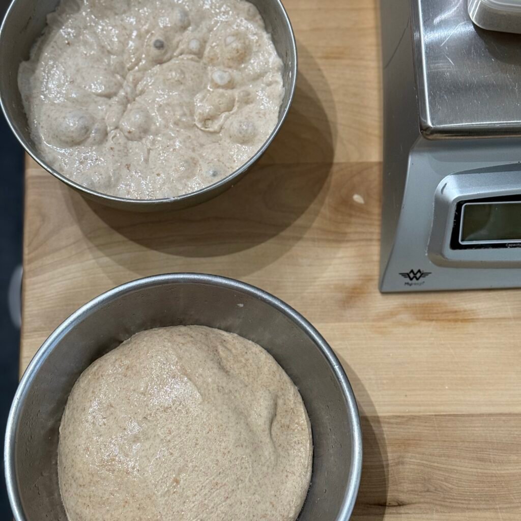 Two doughs, Landbrot and Holzofenbrot, both using Urdinkel Ruchmel that was milled and sifted. 