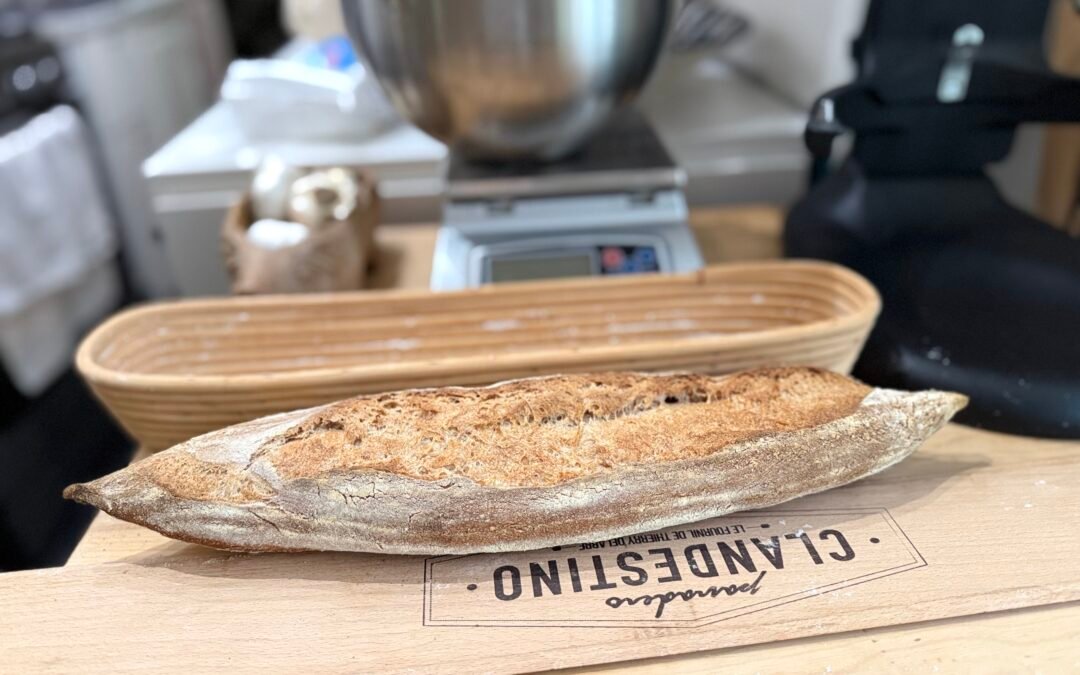 Campaillou baguette