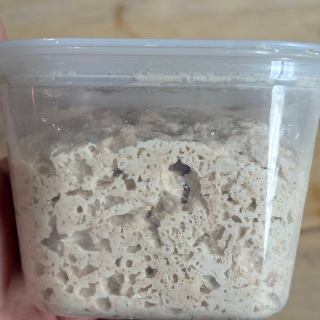 Levain